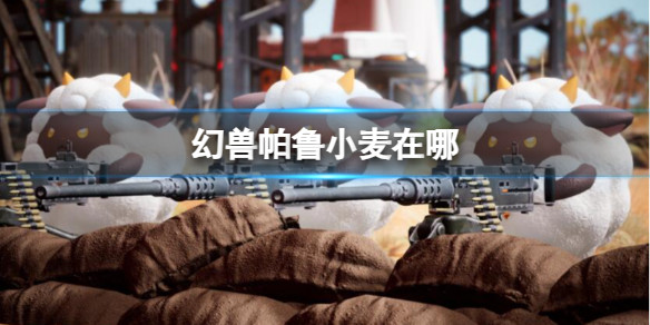 光环助手1