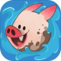 hogwash（洗猪混战）