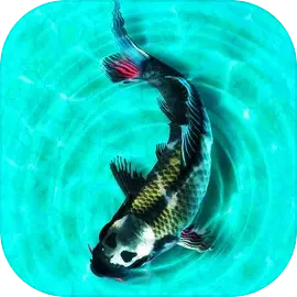 My Koi