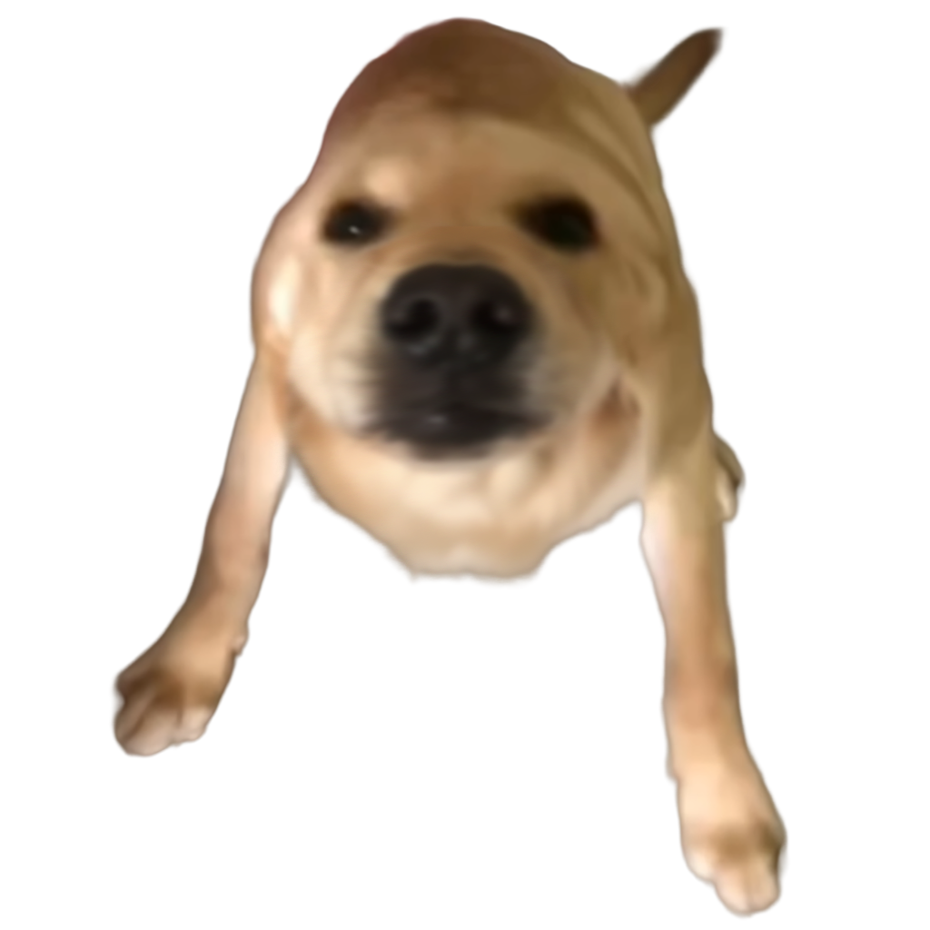 分享